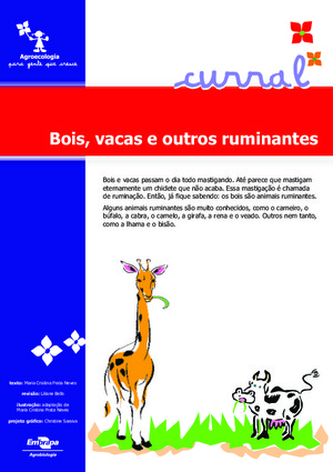 Outros Ruminantes